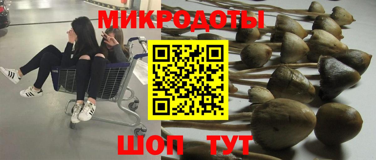 Можайск  Псилоцибиновые грибы GOLDEN TEACHER  купить  цена  Псилоцибиновые грибы Magic Shrooms  Вход с VPN 